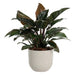 PLASTIC LEAF POT Ф30CM PLASTECNIC LEAF POT 30 - Кашпи<<<Саксии кашпи и цветарници<<<Градина<<<Praktiker