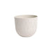 PLASTIC LEAF POT Ф30CM PLASTECNIC LEAF POT 30 - Кашпи<<<Саксии кашпи и цветарници<<<Градина<<<Praktiker