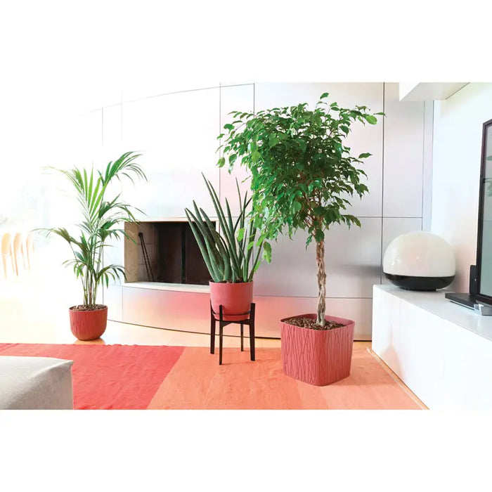 PLASTIC NATURE POT 30CM PLASTECNIC NATURE POT 30 - Кашпи<<<Саксии кашпи и цветарници<<<Градина<<<Praktiker