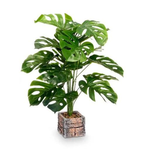 Plastic plant Ibergarden Plastic Magnesium 39 x 65 x 35 cm (4 Units) - Декорация и Осветление<<<Дом
