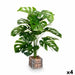 Plastic plant Ibergarden Plastic Magnesium 39 x 65 x 35 cm (4 Units) - Декорация и Осветление<<<Дом
