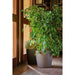 PLASTIC POT F30CM ERBA Milano - Саксии<<<Саксии кашпи и цветарници<<<Градина<<<Praktiker