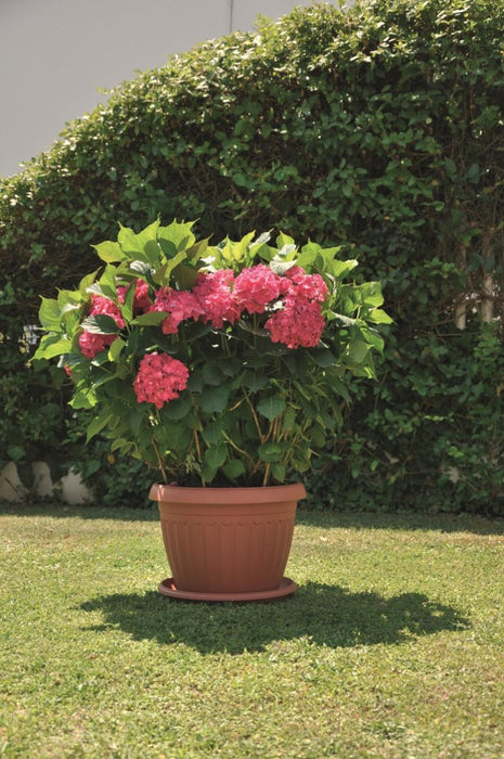 CORFU POT 35X26 BROWN