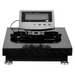 PLATFORM SCALE WT-053 300KG - Specialty scalesURP-WAG<<<Measuring equipmentURP<<<ActionPL