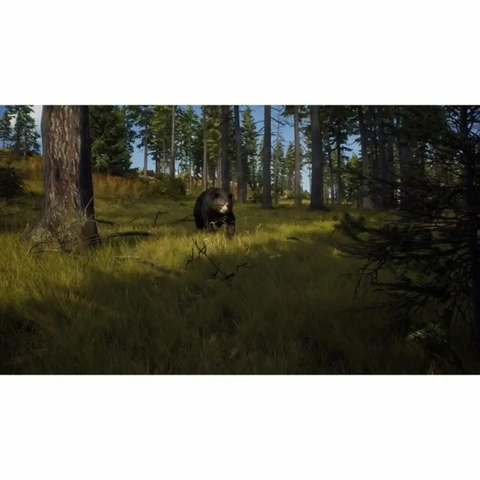 PlayStation 5 Video Game THQ Nordic Way of the Hunter Wild Expeditions (FR) - Електроника Игри<<<Компютри|