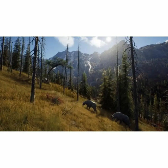 PlayStation 5 Video Game THQ Nordic Way of the Hunter Wild Expeditions (FR) - Електроника Игри<<<Компютри|