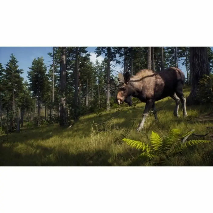 PlayStation 5 Video Game THQ Nordic Way of the Hunter Wild Expeditions (FR) - Електроника Игри<<<Компютри|