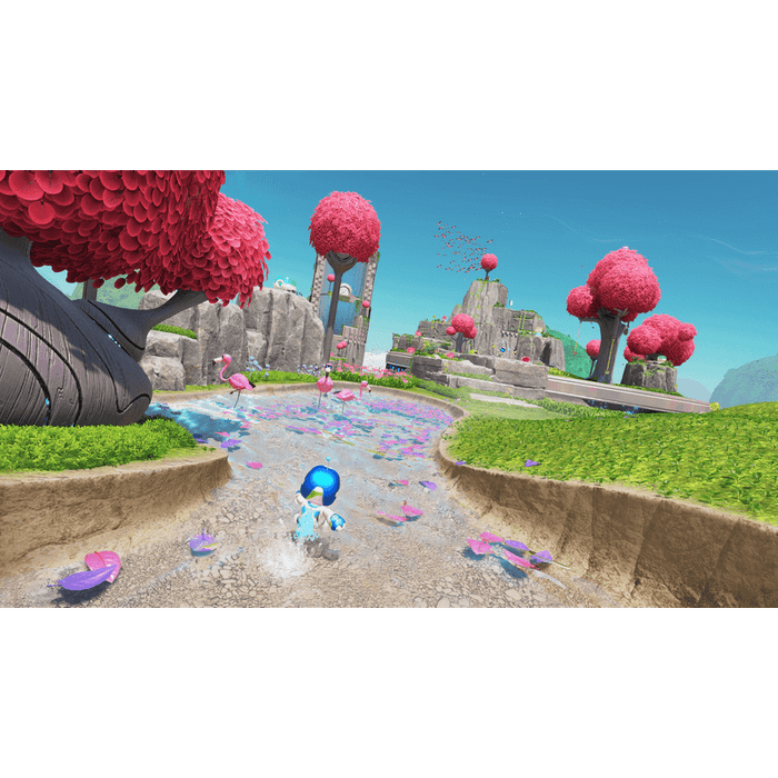 Astro Bot Game (PS5)