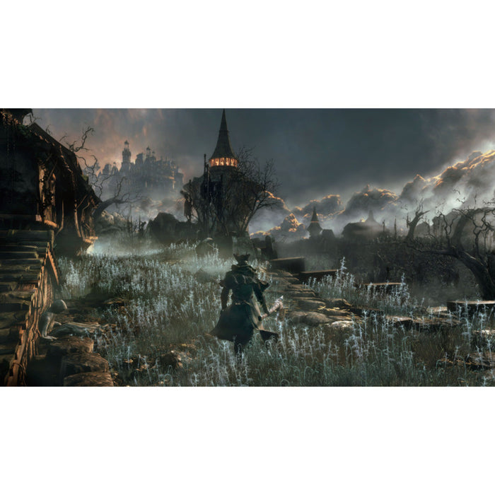 Bloodborne game /HITS/ (PS4)