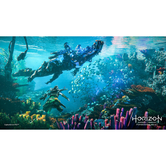 Horizon Forbidden West Game (PS4)