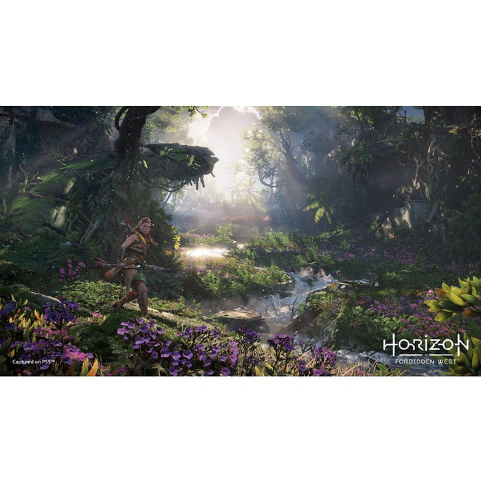 Horizon Forbidden West Game (PS5)