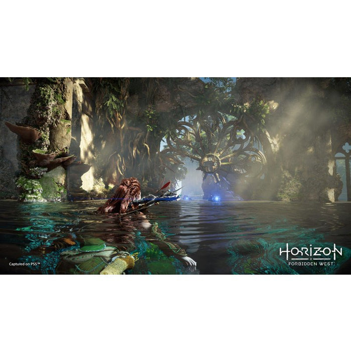 Horizon Forbidden West Game (PS5)