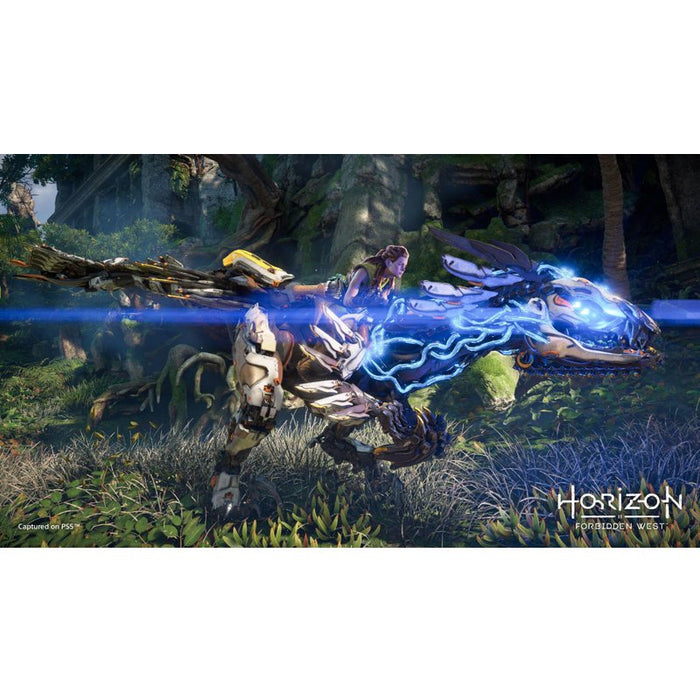 Horizon Forbidden West Game (PS5)