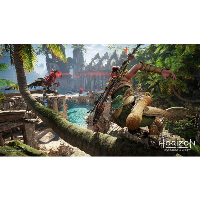 Horizon Forbidden West Game (PS5)
