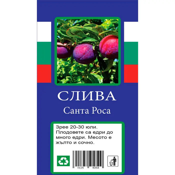 PLUM WITH PACKAGED ROOT - Овошки<<<Външни растения<<<Градина<<<Praktiker