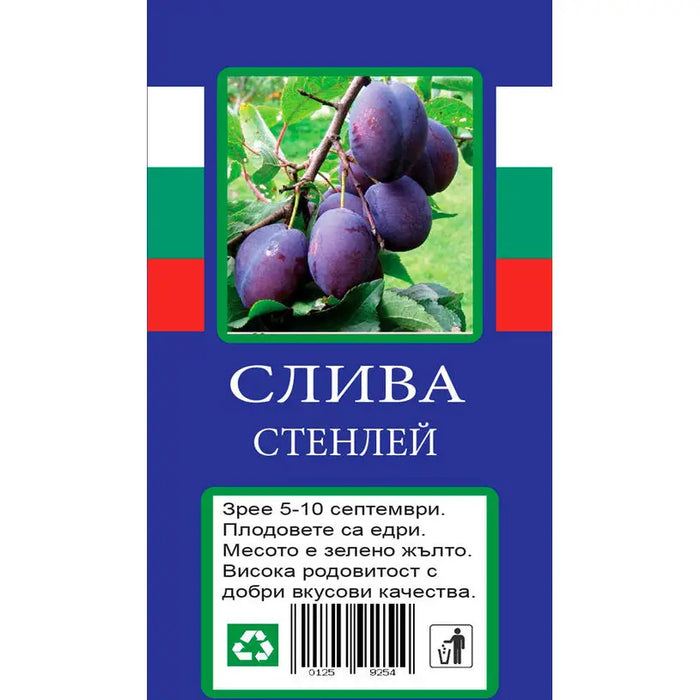 PLUM WITH PACKAGED ROOT - Овошки<<<Външни растения<<<Градина<<<Praktiker