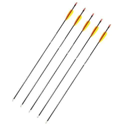 Poe Lang 28’ fibreglass arrows - set of 5 (D-055-B3)