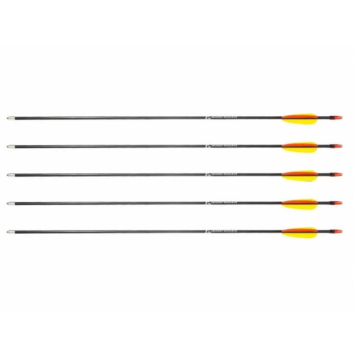 Poe Lang 28’ fibreglass arrows - set of 5 (D-055-B3)