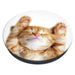 Popsockets 2 Snoozy Cat Holder and Phone Stand - Cell phone holders<<<HurtelXML