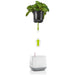 POT 17X17CM WITH IRRIGATION SYSTEM LECHUZA YULA - Саксии<<<Саксии кашпи и
