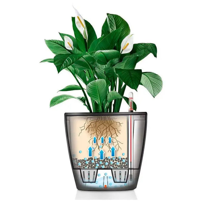 POT Φ21CM WITH IRRIGATION SYSTEM LECHUZA CLASSICO PREMIUM - Саксии<<<Саксии кашпи и
