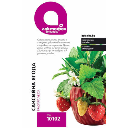POTTED STRAWBERRY SEEDS LAKTOFOL BOTANIC - Семена<<<Семена луковици и разсад<<<Градина<<<Praktiker