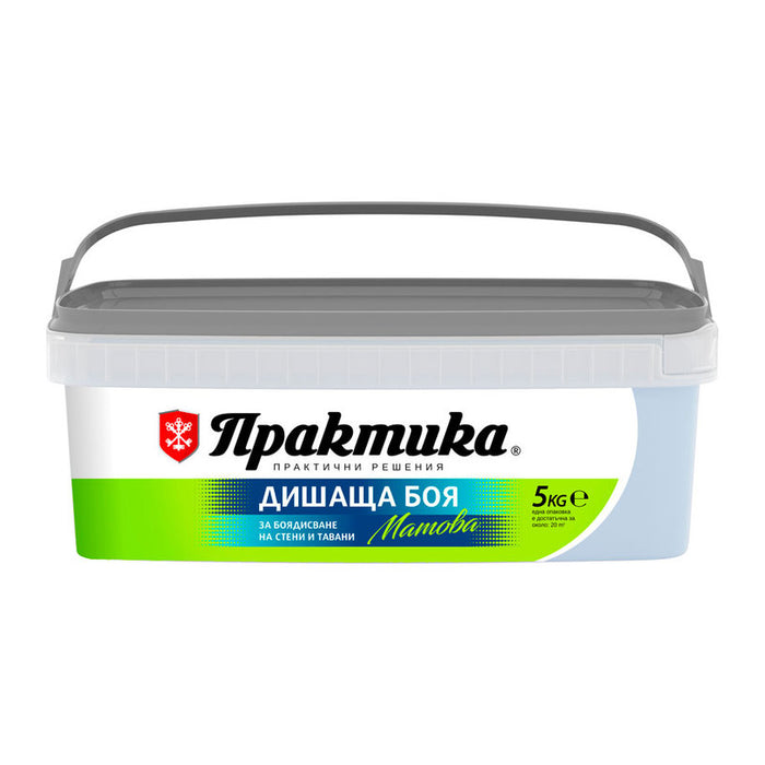 INTERIOR PAINT COLOR FROST 5 KG PRAKTIKA