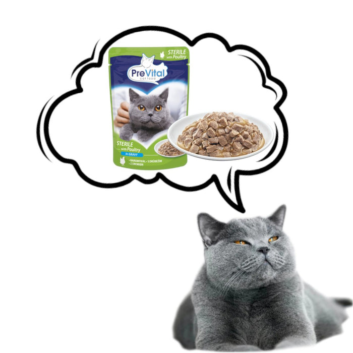 PREVITAL Cat Food Sterile Poultry in Sauce - Wet Cat Food - Pouch 100 g