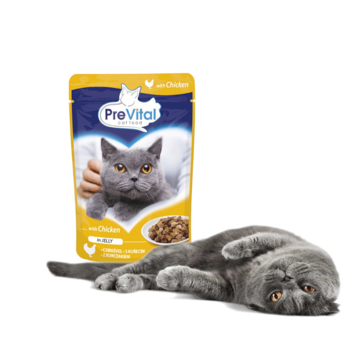PREVITAL Chicken in jelly - wet cat food - 100g