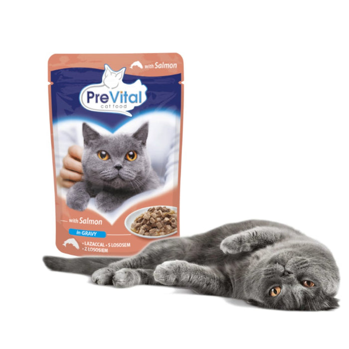 PREVITAL Salmon in gravy - wet cat food - 100g