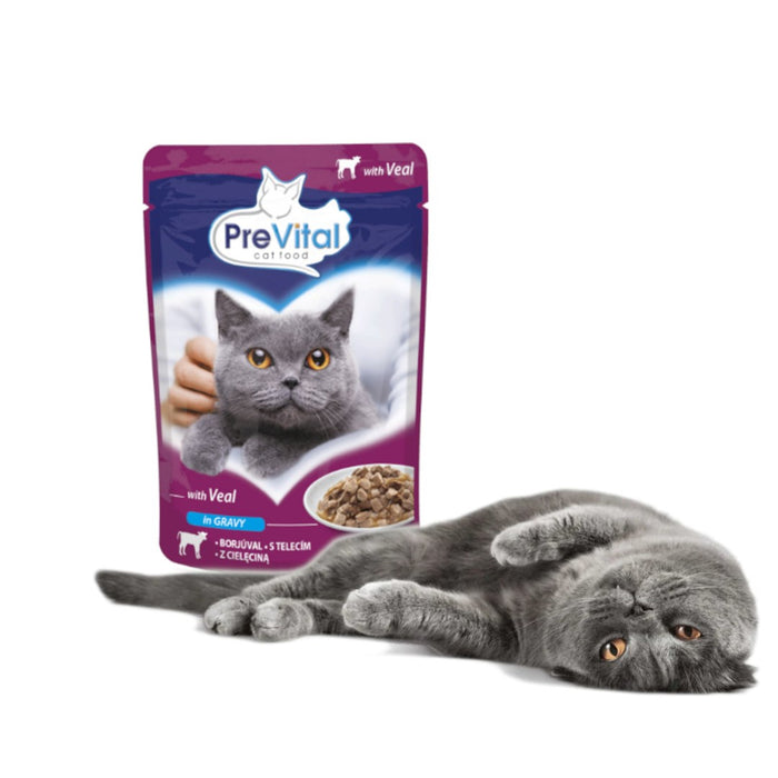 PREVITAL Veal in gravy - wet cat food - 100g