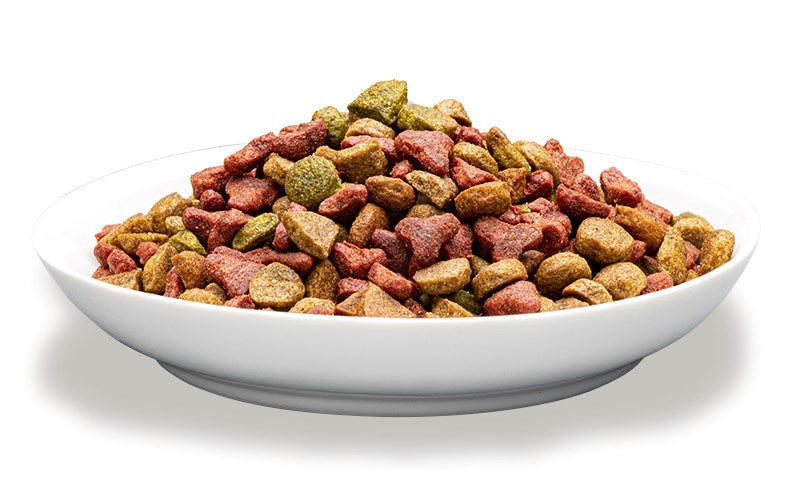 PREVITAL Cat Food Adult with Beef - Dry Cat Food - 1.4 kg