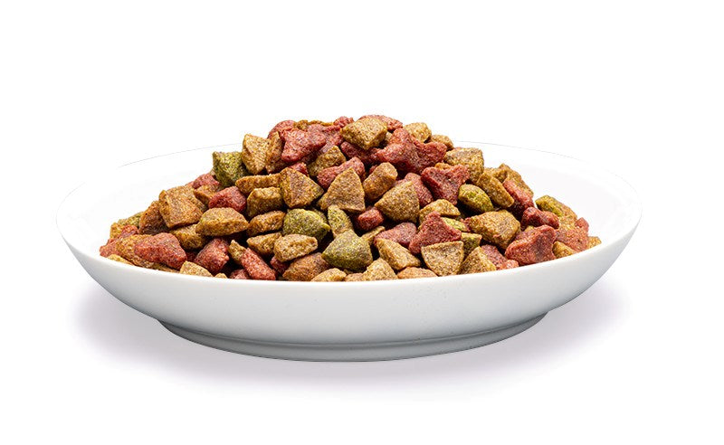 PREVITAL Senior Salmon - dry cat food - 1,4kg