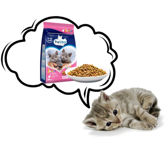 PREVITAL Junior Chicken - dry cat food - 950g