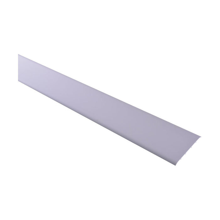 TRANSITION SLAB PROFILES TRADE 100 MM. SILVER MATT 2.7 M.