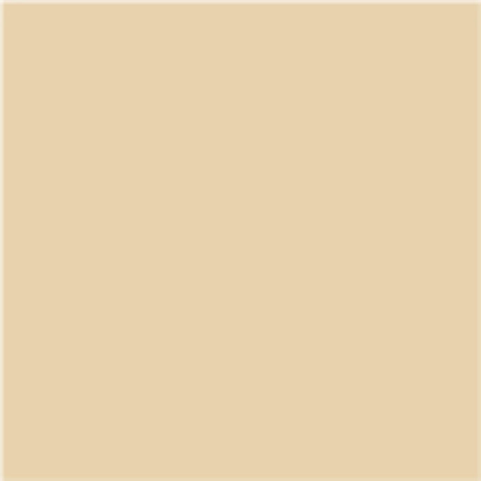 PROTECTA 3B1 0.5 L BEIGE SV0.5