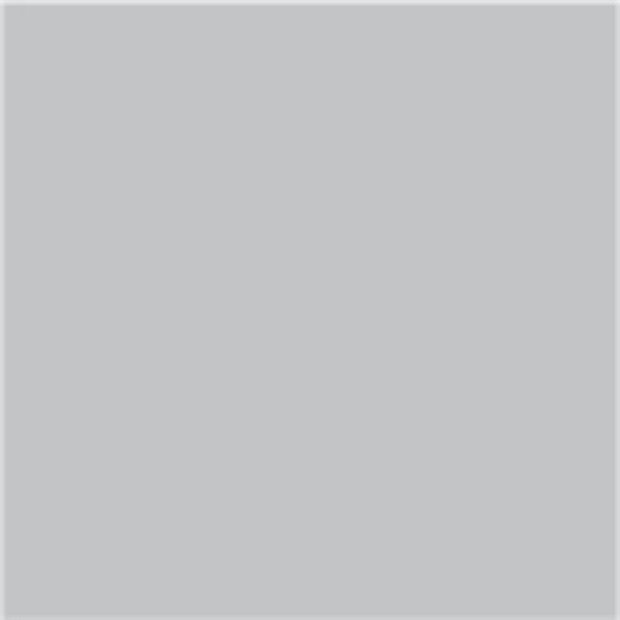 PROTECTA 3B1 0.5 L GRAY 0.5