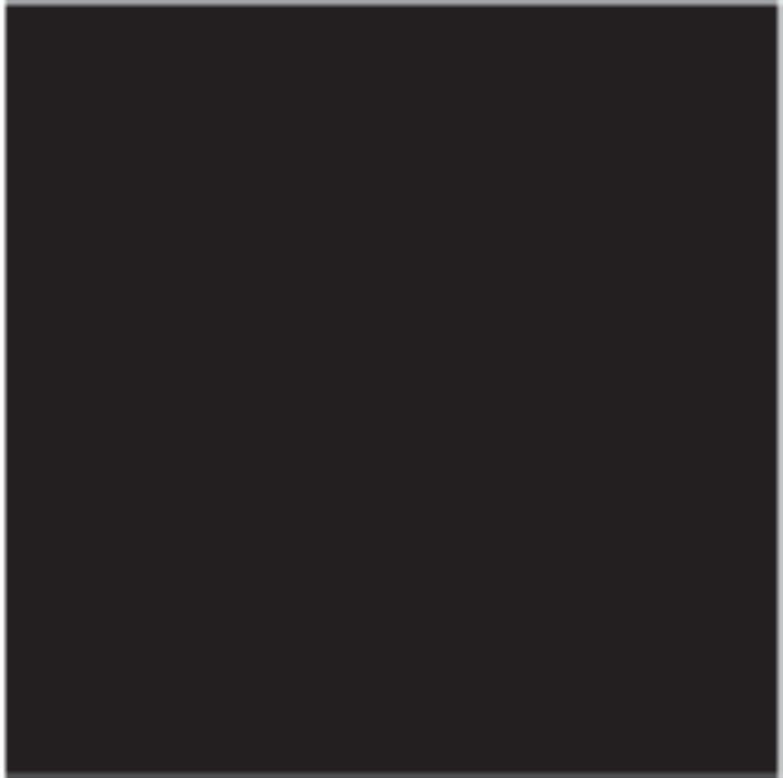 3 IN 1 ENAMEL LACQUER 500 ML BLACK COLOR PROTECTA
