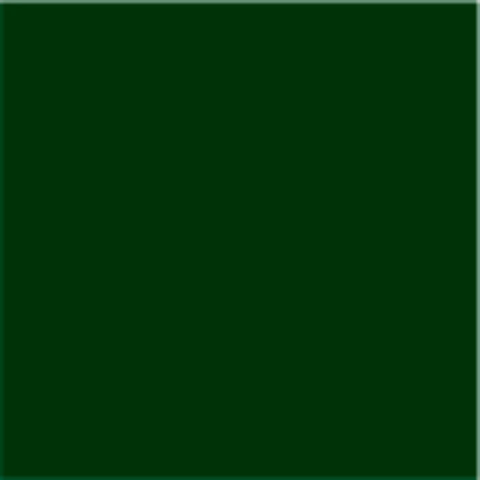 3 IN 1 ENAMEL COAT 2.5 L DARK GREEN COLOR PROTECTA