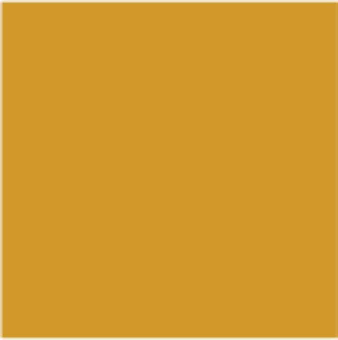 PROTECTA 3В1 0.5 OLD GOLD