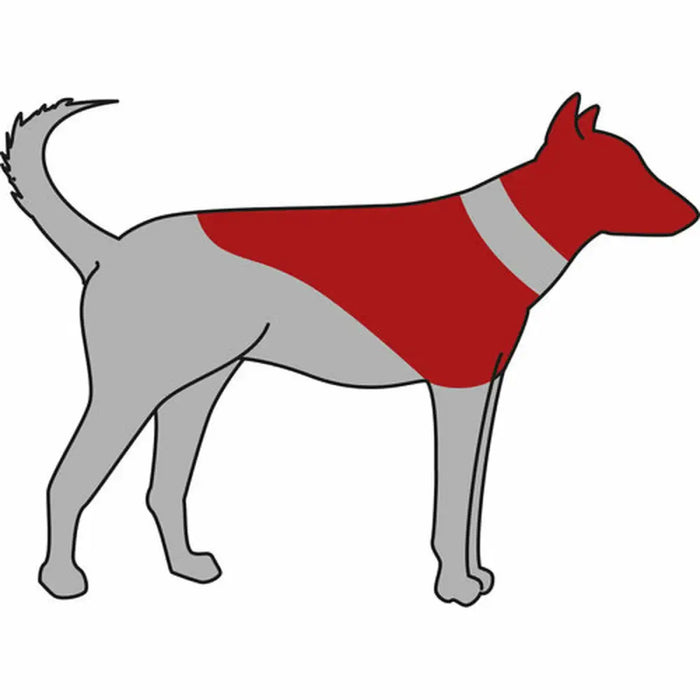 Protective collar for dog Trixie Blue Inflatable (20-24 cm) - Домашни Животни<<<Дом Градина<<<BigBuy&&&Здраве и