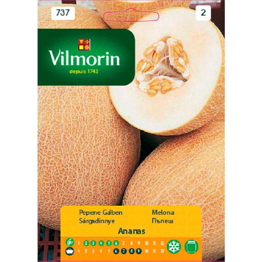 PUMPKIN SEEDS PINEAPPLE VILMORIN - Семена<<<Семена луковици и разсад<<<Градина<<<Praktiker