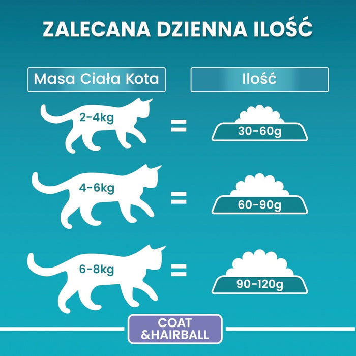 PURINA One Bifensis Coat & Hairball Chicken - dry cat food - 800 g