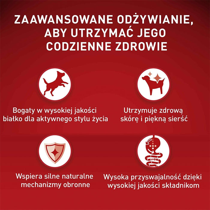 PURINA One Mini/Small Active Rich in chicken with rice - dry dog food - 800g