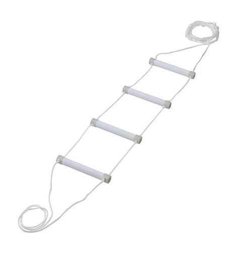 Rehabilitation bed ladder fluorescent