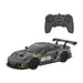 RASTAR R/C 1:24 Porsche 911 GT2 RS Clubsport 25 remote controlled RC car (gray) - Remote-controlled