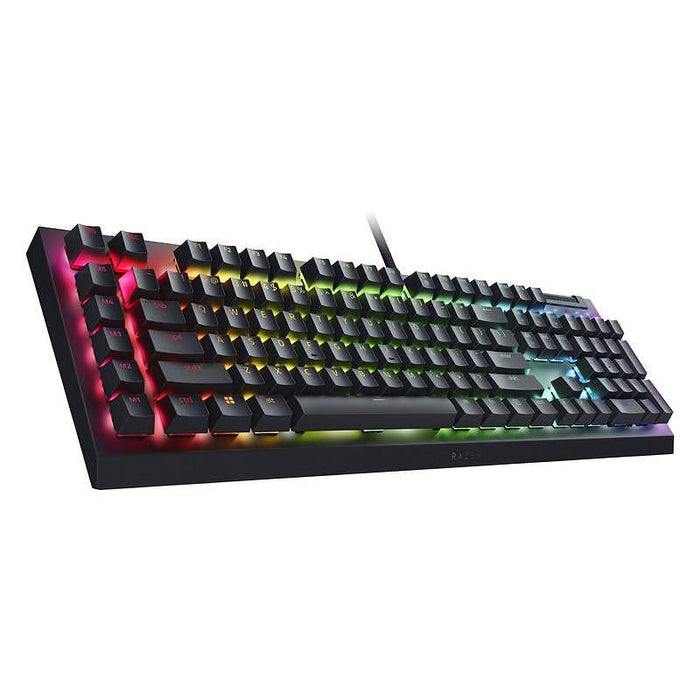 Keyboard RAZER BLACKWIDOW V4 X RZ03-04700100-R3M1