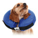 Recovery Collar for Dogs KVP Kong Cloud Blue Inflatable (25-33 cm) - Домашни Животни<<<Дом Градина<<<BigBuy&&&Здраве и
