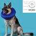 Recovery Collar for Dogs KVP Kong Cloud Blue Inflatable - Домашни Животни<<<Дом Градина<<<BigBuy&&&Здраве и