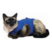 Recovery Vest for Pets KVP 21-24 cm Blue - Домашни Животни<<<Дом Градина<<<BigBuy&&&Здраве и хигиена<<<Домашни
